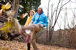 中古ダンプの選び方と信頼できる販売店の見極め方完全ガイド