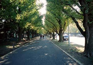 家族の安全を守る「みよし車検」の賢い選び方と費用を抑えるポイント