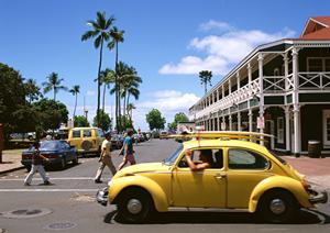 世界に一台のカスタム車を「ウィード」で