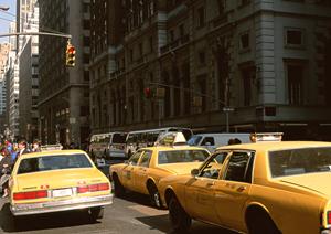 免許合宿のメリットとデメリット｜効率的な免許取得を目指すためのポイント解説