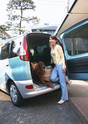 野外駐車のクルマをボディカバーで守る